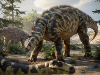 Bunter als gedacht: Fossilien zeigen überraschende Farben bei Dinosauriern
