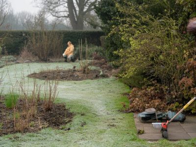 Garten im März: Diese Arbeiten sollten Sie besser noch aufschieben