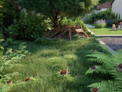 Pflanzen, die deinen Garten zum Zecken-Hotspot machen