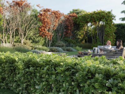 Schluss mit kahlen Hecken: Dieser robuste Sichtschutzstrauch schlägt den Photinia