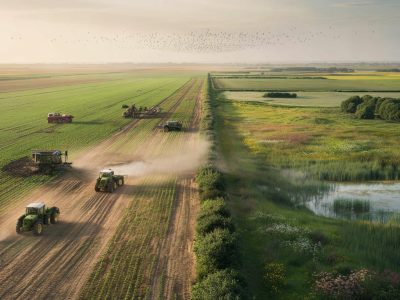 Studie schockiert: Industrielle Landwirtschaft lässt unsere Vogelpopulationen massiv schrumpfen