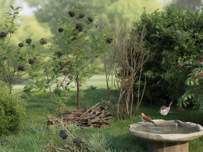 Vergiss Futterhäuschen: So wird dein Garten zum Paradies für Vögel