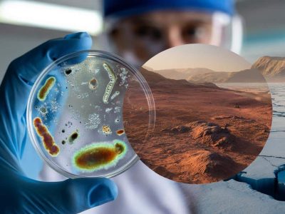 Wie knallharte Mikroben uns den Weg zu Aliens zeigen könnten
